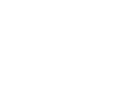 Zybra